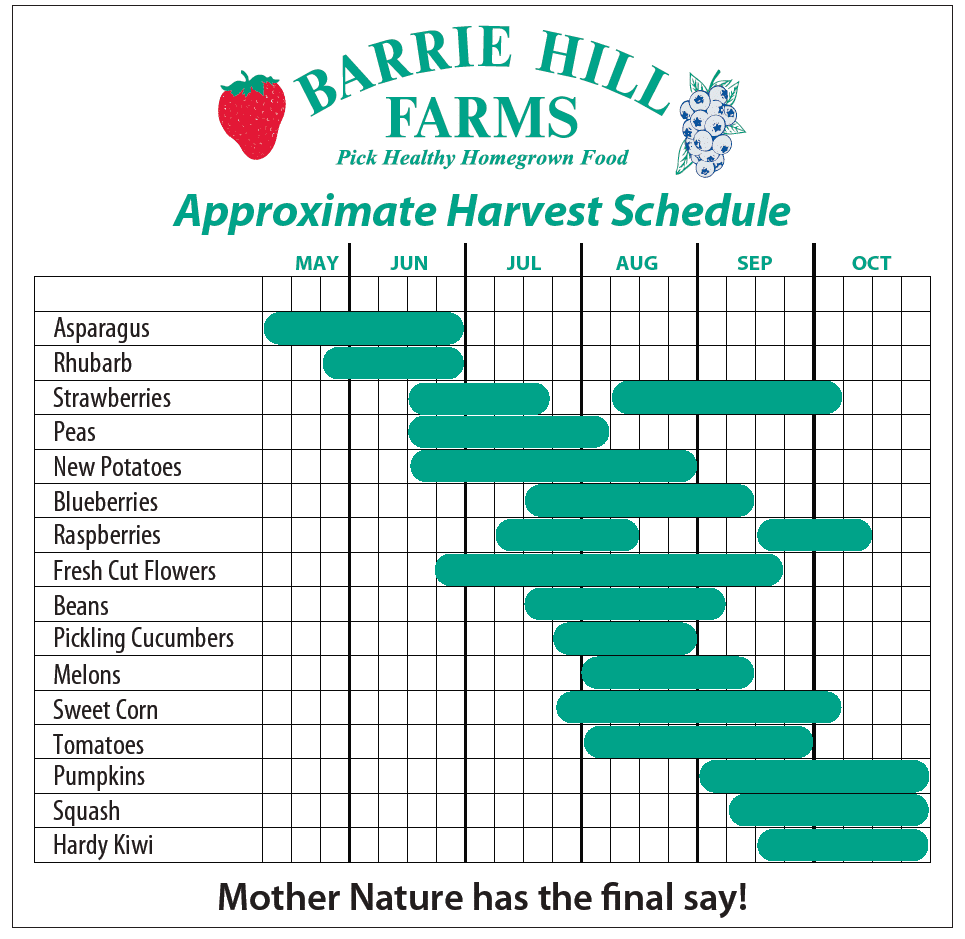 A calendar showing when crops are available at Barrie Hills Farm.