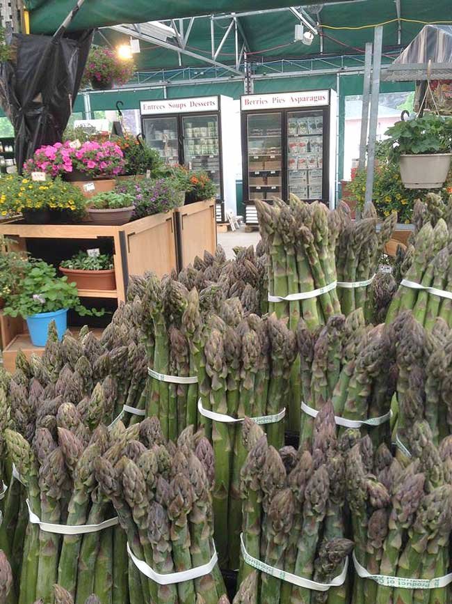 Asparagus Stalks At Barry Hill Farms Market