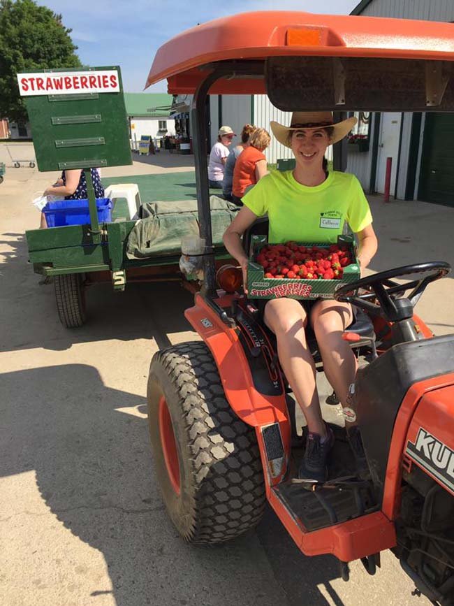 Boxes of strawberries being carried on a tractor at the farm.