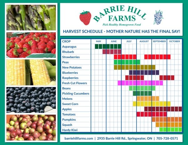 Barrie Hill Farms Harvest Schedule