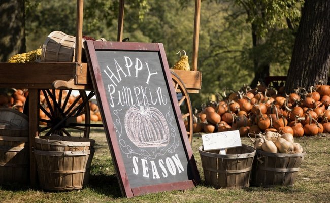 Pumpkin Farm Barrie Hill Farms