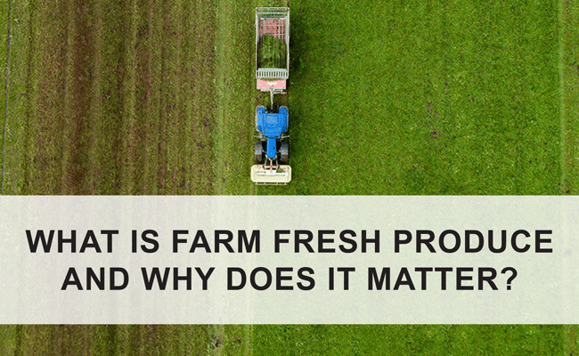 Farm Fresh Produce & Why it Matters