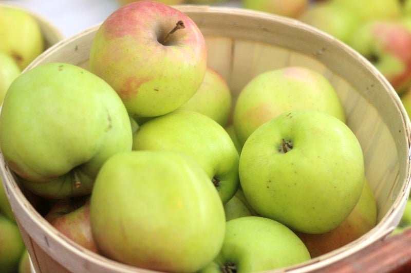 Apples in a basket picked from Barrie Hill Farms