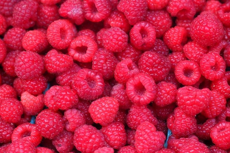 Fresh picked raspberry from Barrie Hill Farms
