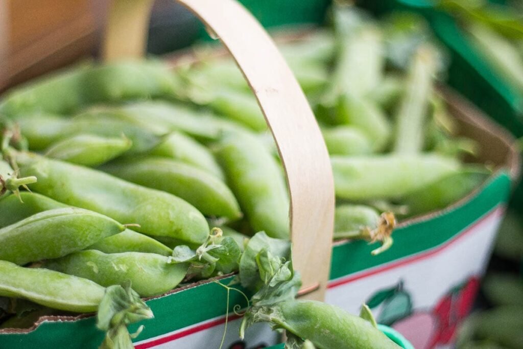 Sugar Snap Peas from Barrie Hill Farms