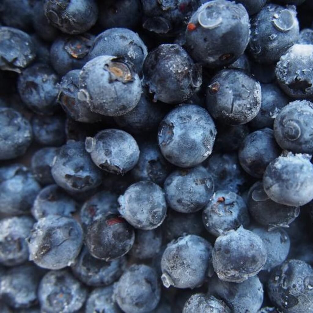 Barrie Hill Farms Frozen Blueberries