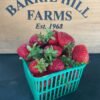 Barrie Hill Farms Strawberries * - Image 2