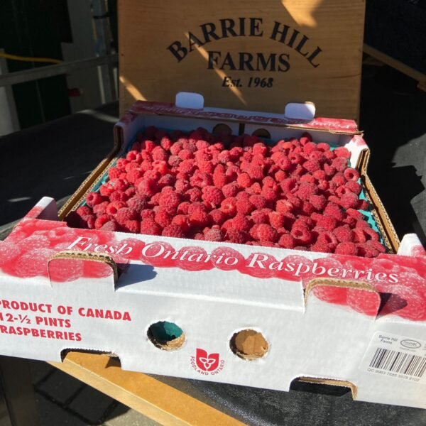 Barrie Hill Farms Raspberry Flat
