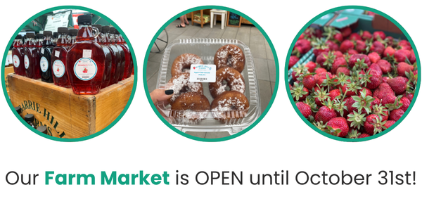 farm market open until October 31