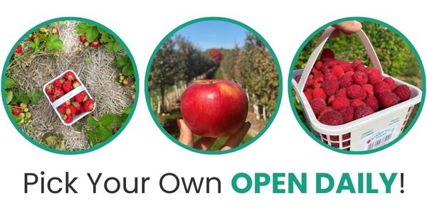 pick your own open daily