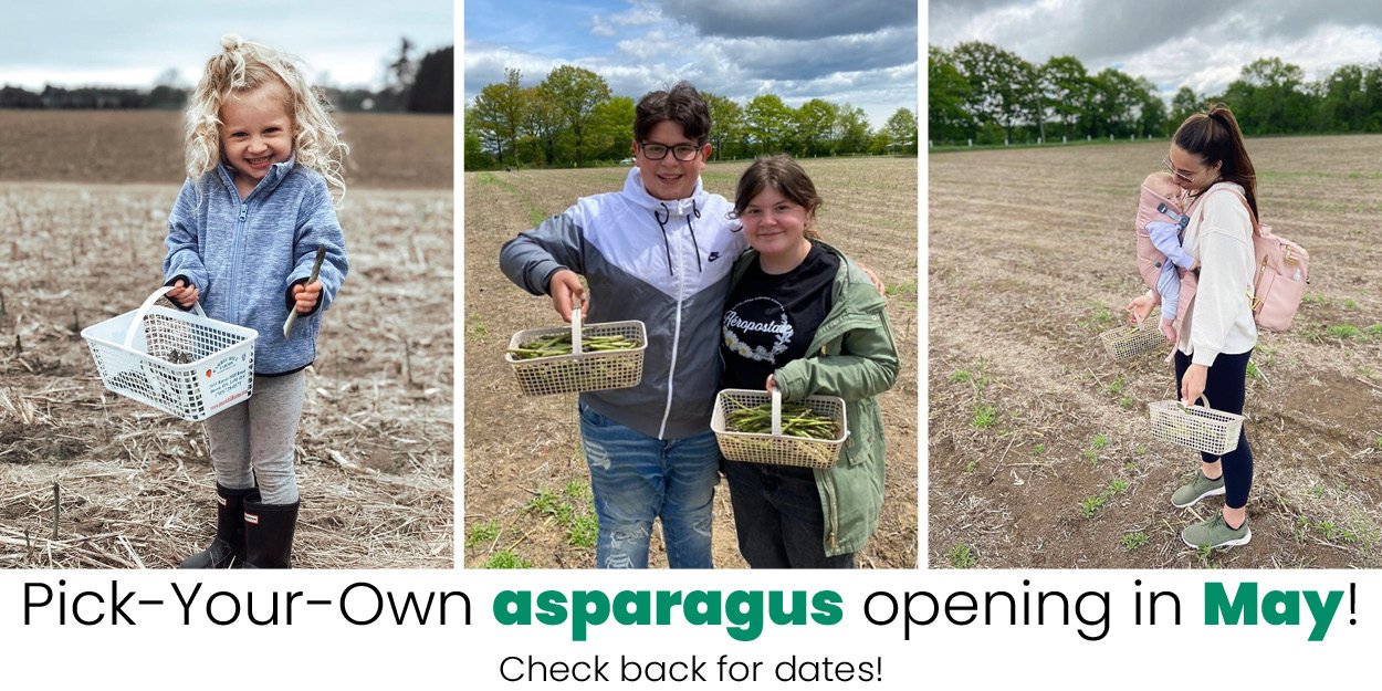 Pick your own asparagus opening soon barrie hill farms