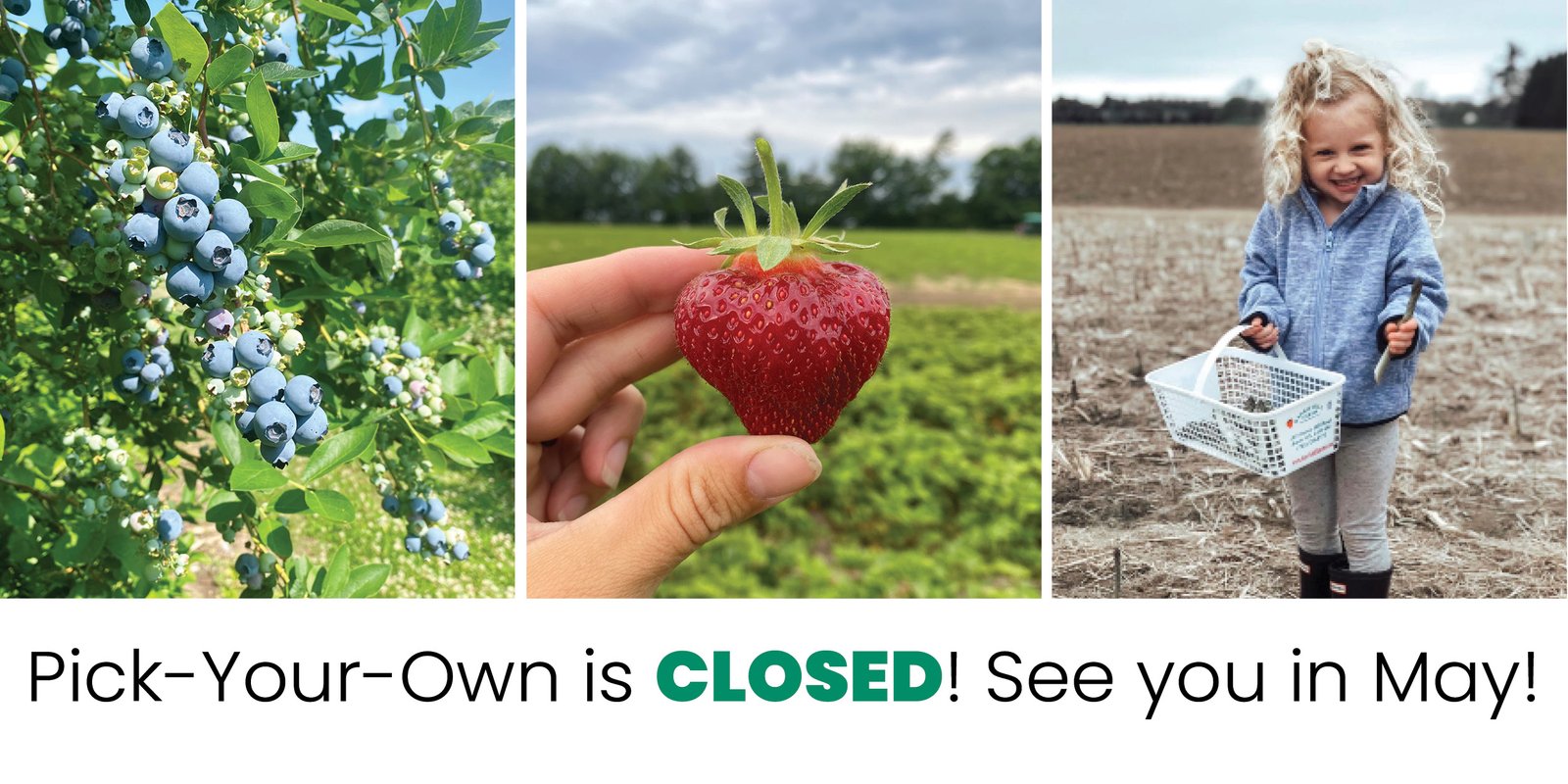 Pick your own closed