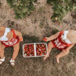 babies pick-your-own experience