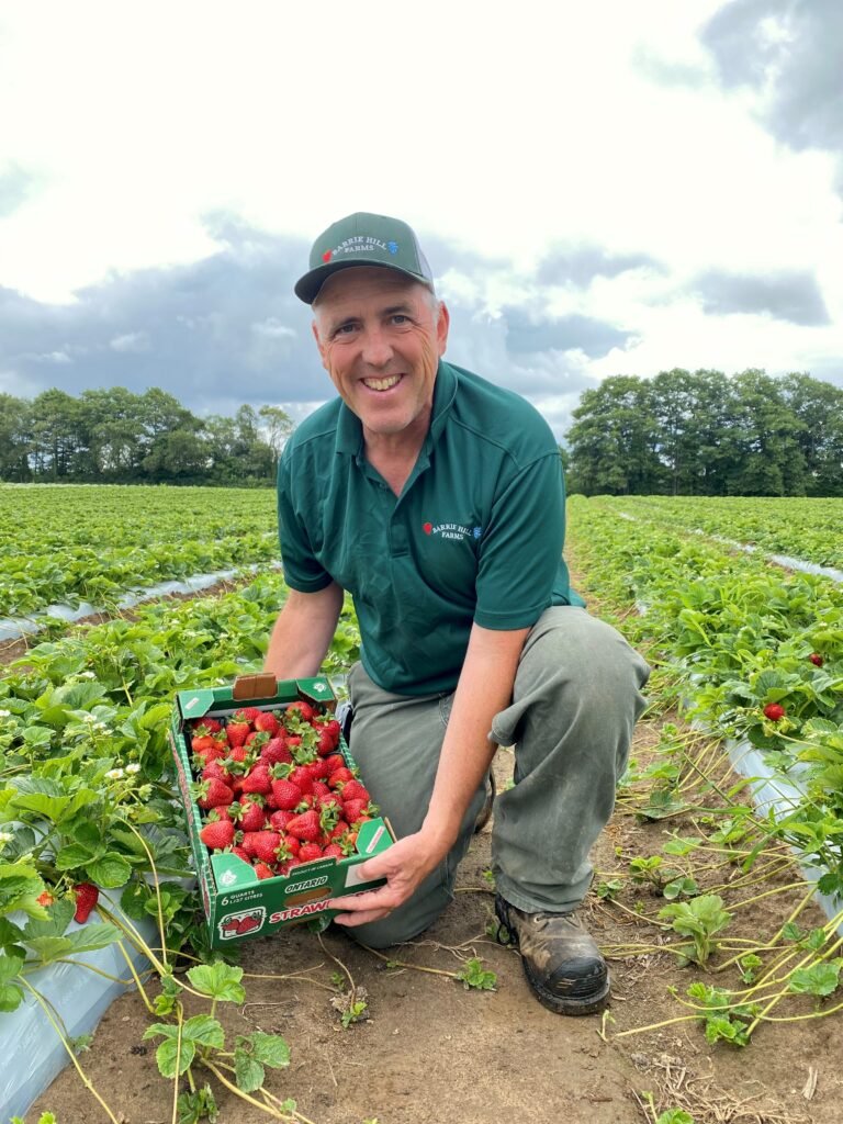 Farmer Morris Strawberries