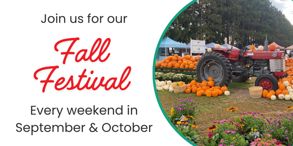 Fall Festival