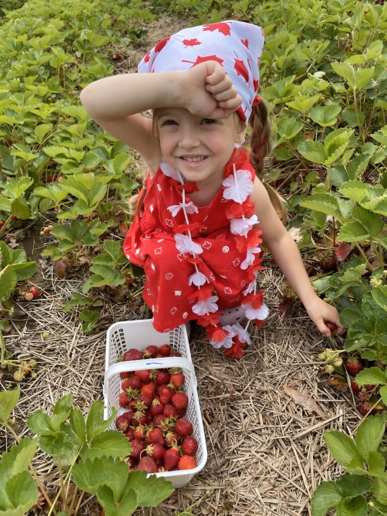 Canada Day Strawberry Picking