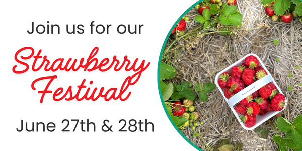 Strawberry Festival