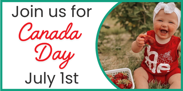 Canada Day Strawberry Picking