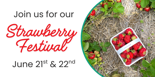 Strawberry Festival
