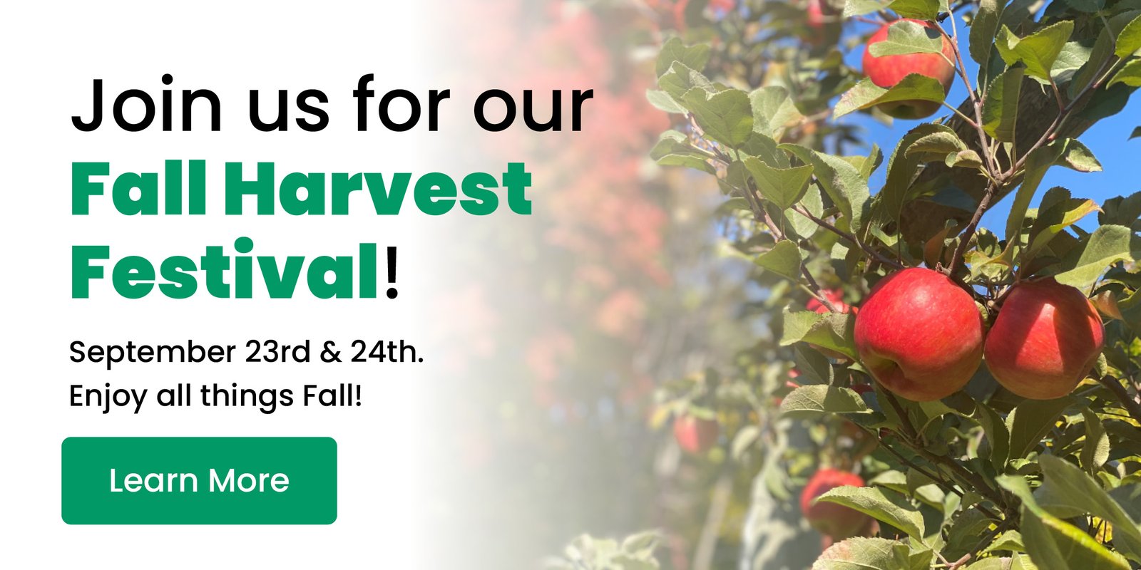 Fall Harvest Festival Barrie Hill Farms