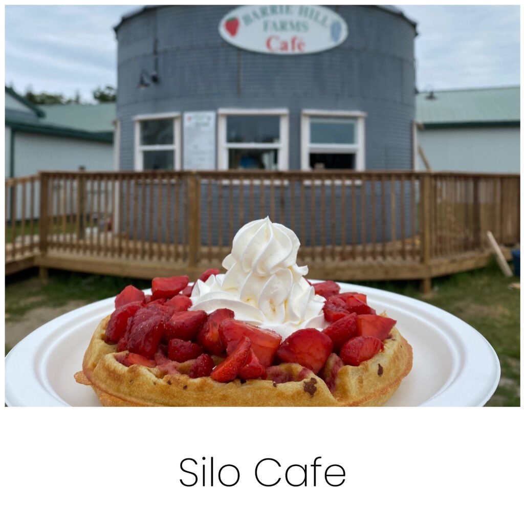 Barrie Hill Farms Silo Cafe