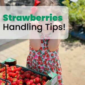 Barrie Hill Farms Strawberry Handling Tips