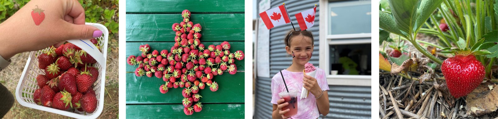 Wordpress Banners-StrawberryFestival24