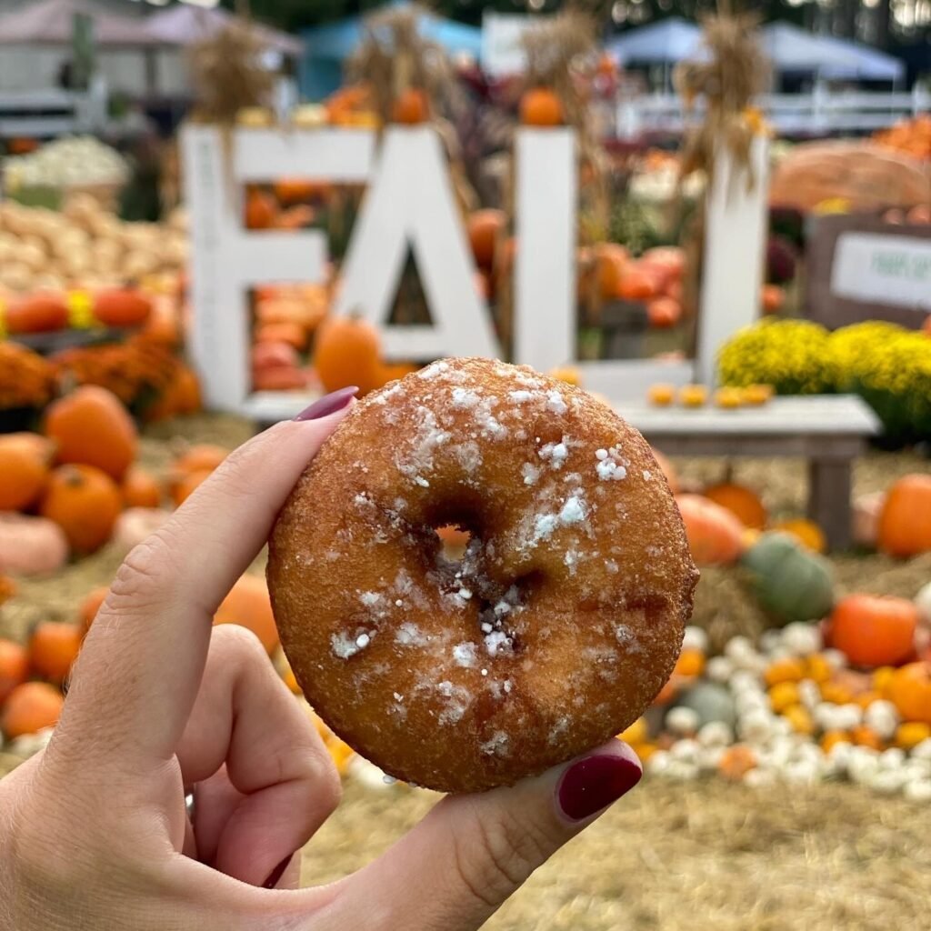 Apple Cidero Donuts