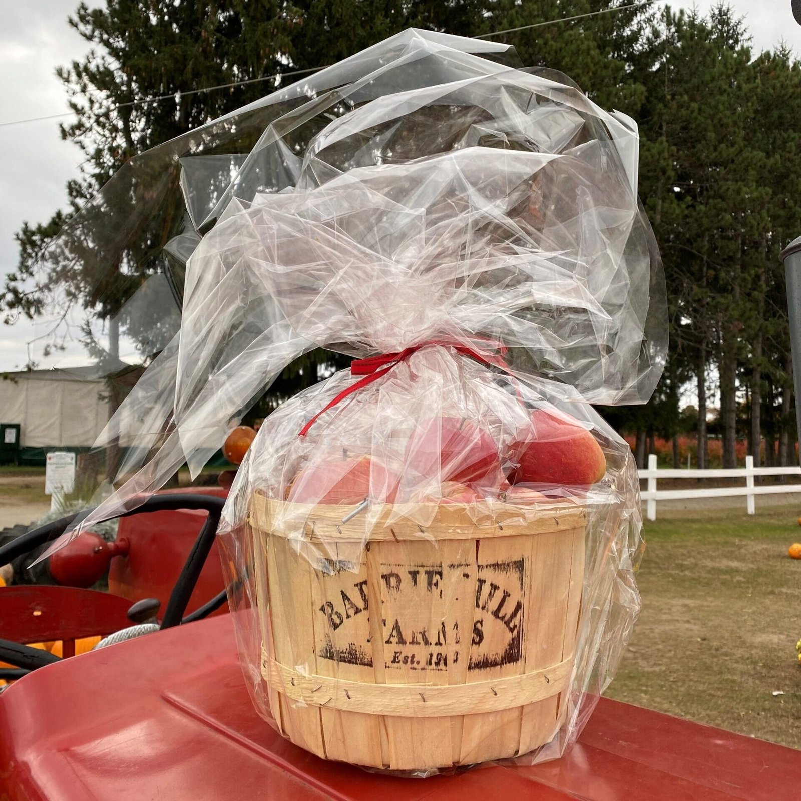 Apple Baskets