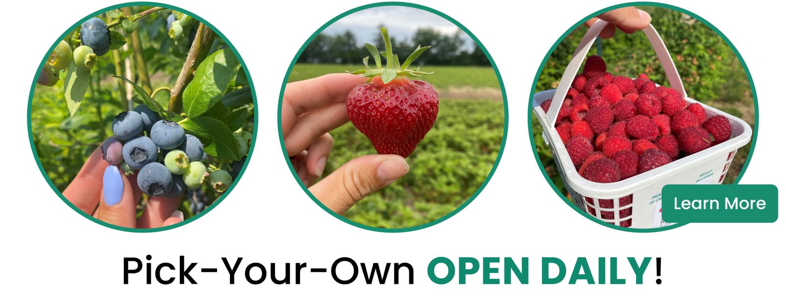 Pick your own open daily