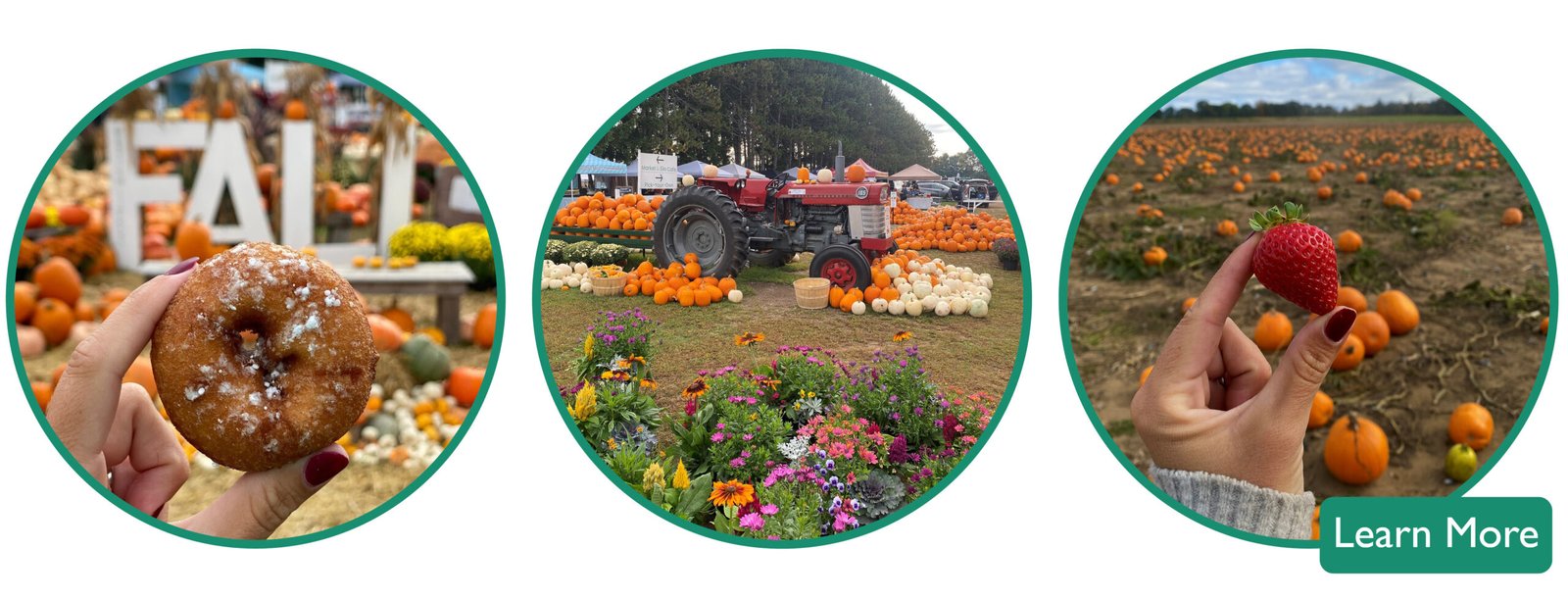 Fall Fun Days