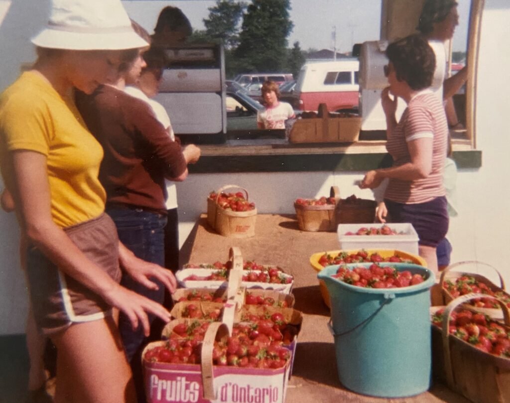 Strawberry Picking 1977