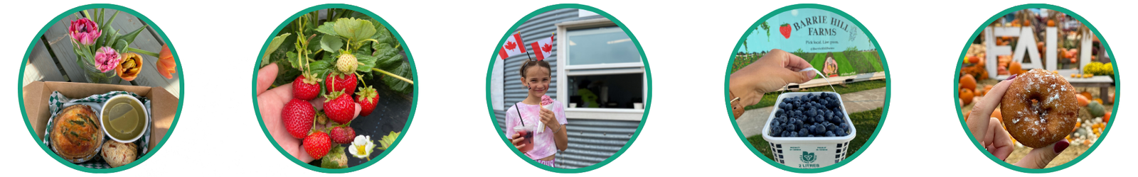 Barrie Hill Farms Events