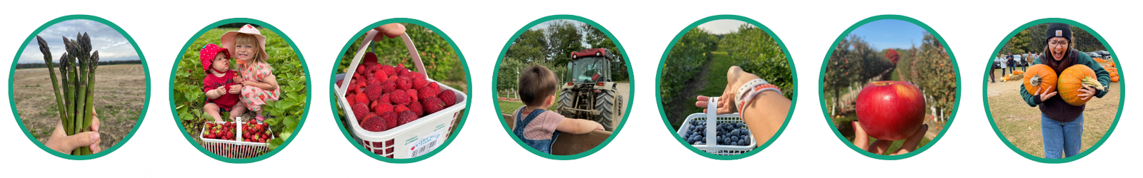 upick banner