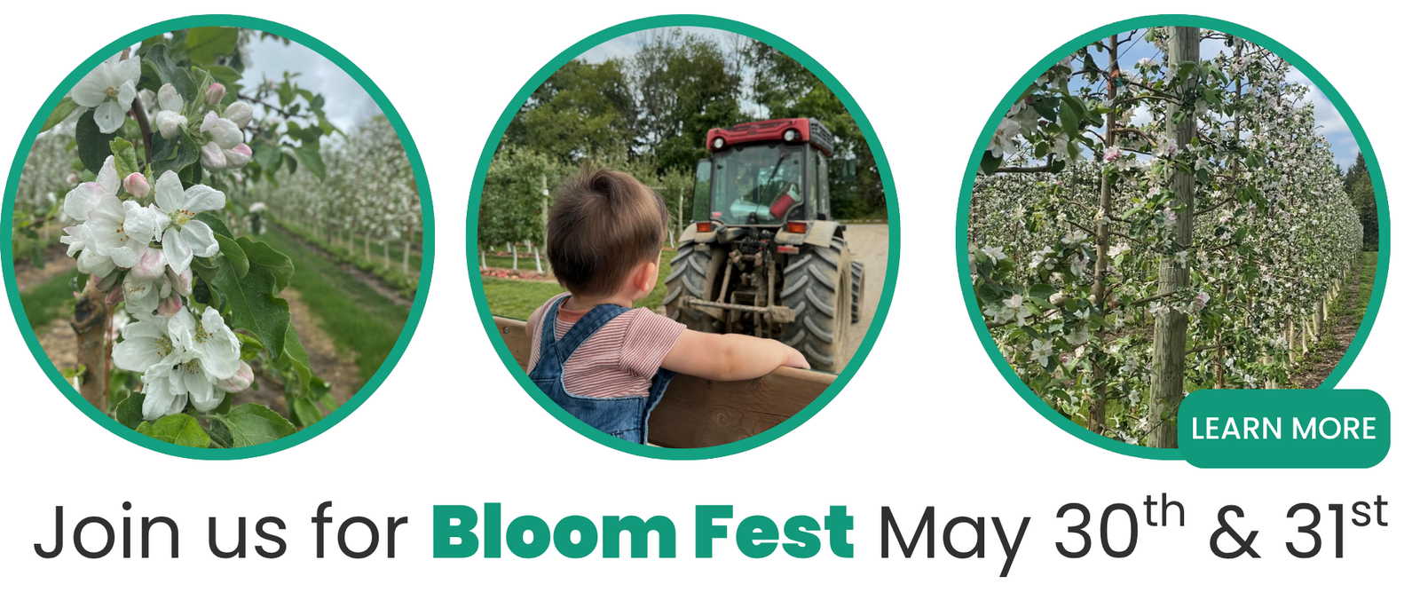 Bloom Fest