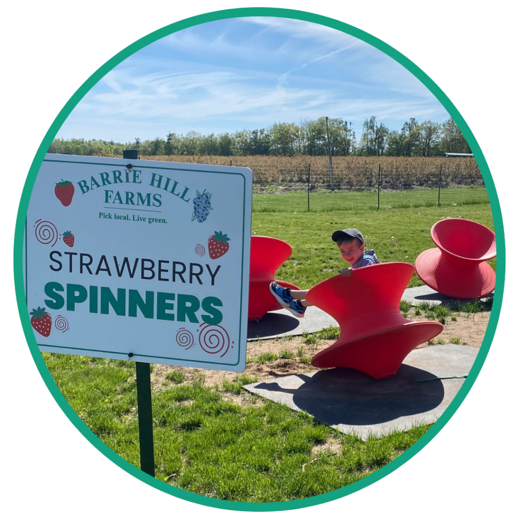 Strawberry Spinners