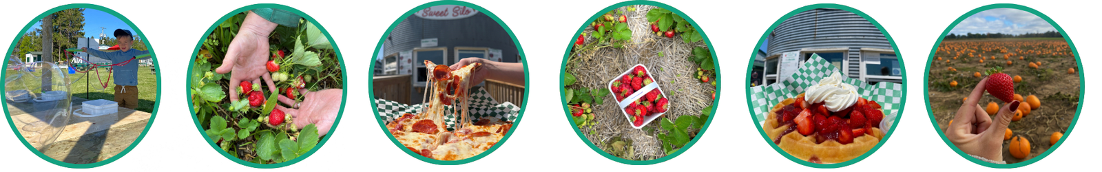 Upick Strawberries Banner 2
