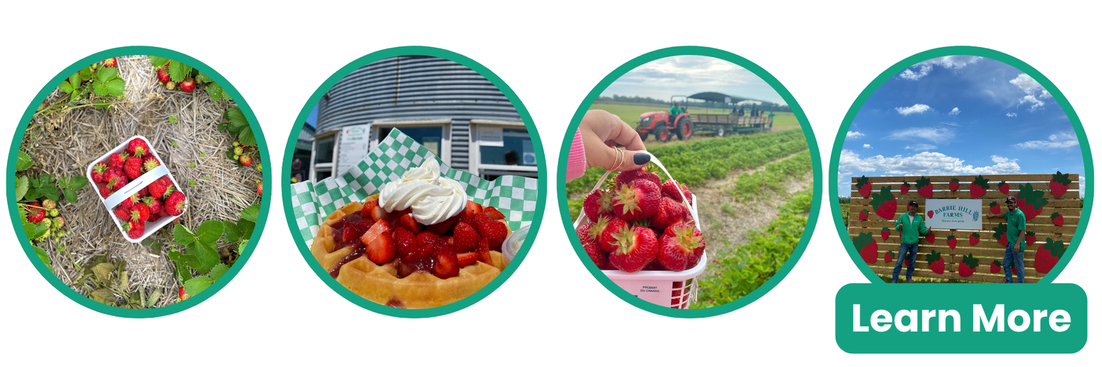 Strawberry Festival